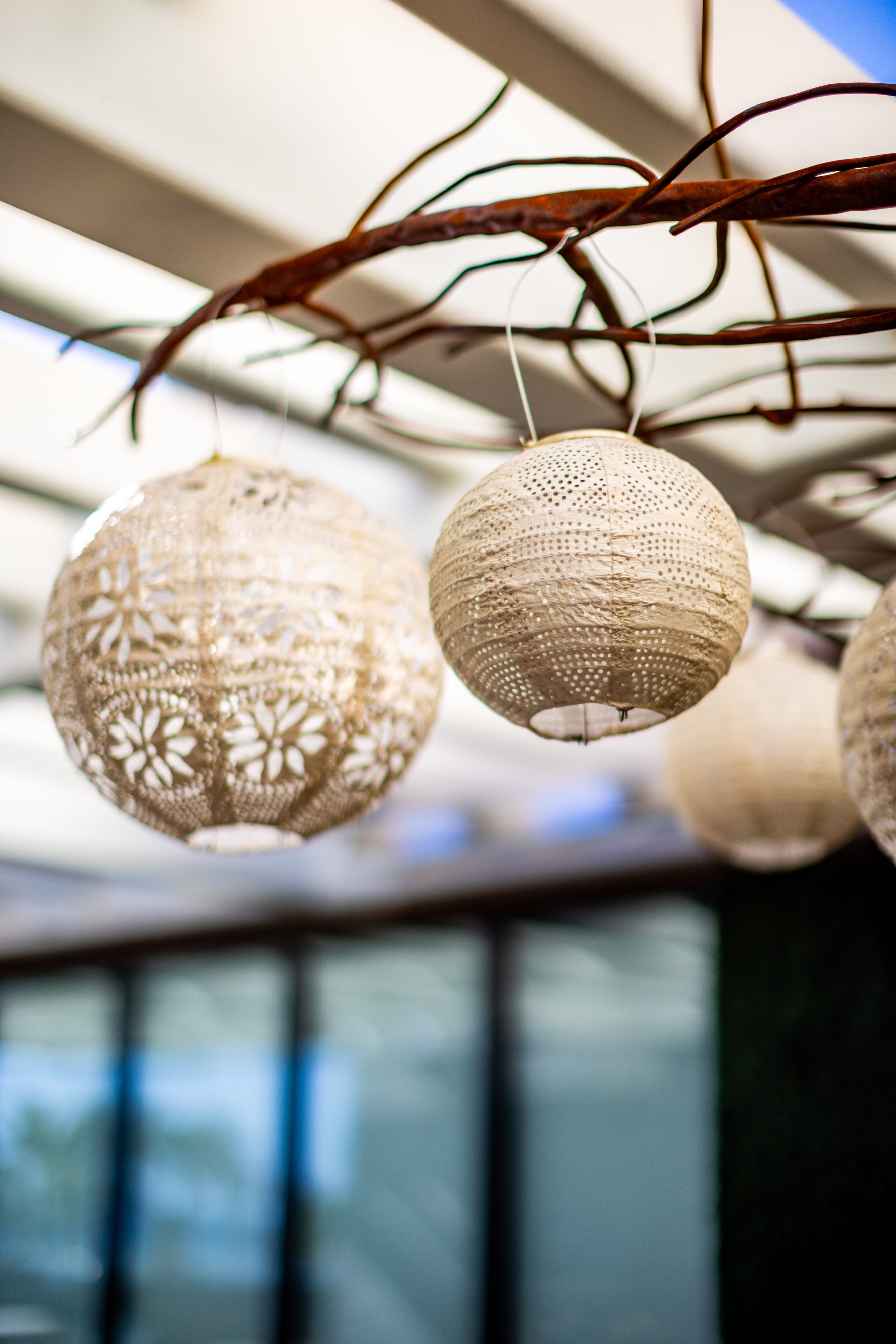 Round, woven pendant lampshades hang from a wooden branch under a pergola, with a blurred glass wall in the background.